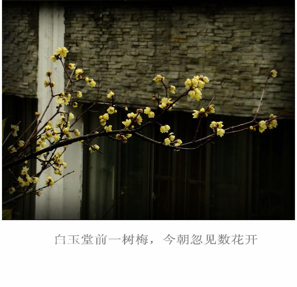 DSCF3386.jpg