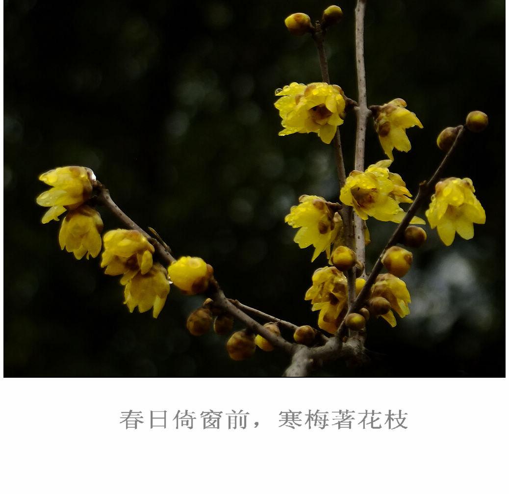 DSCF3486.jpg