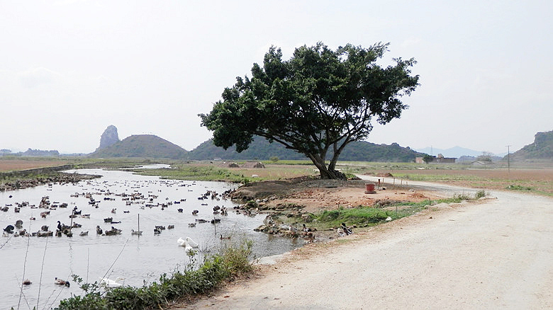 P1010864.JPG