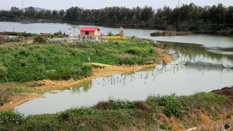 P1010869.JPG