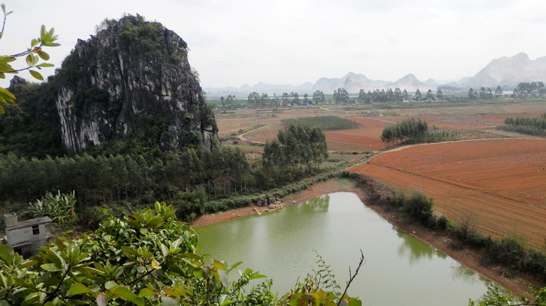 P1010833.JPG