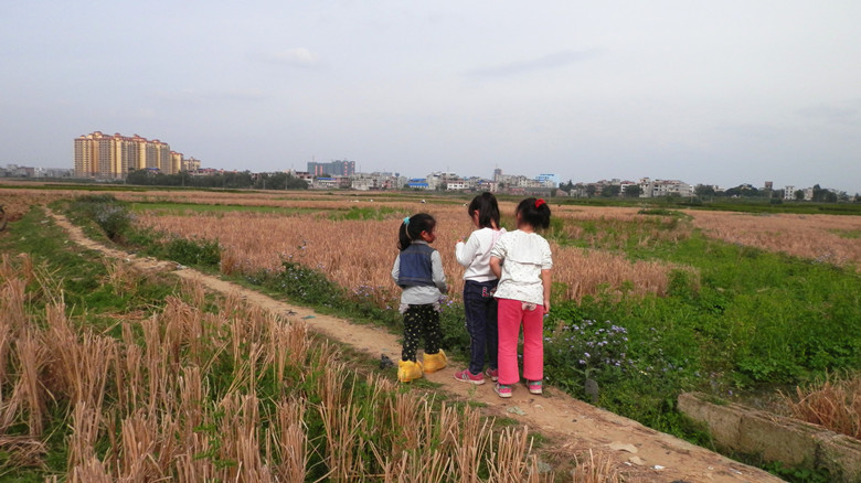 P1010896.JPG