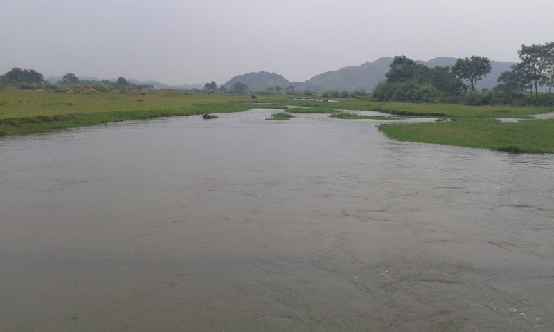 2012-08-23 14.45.39.jpg