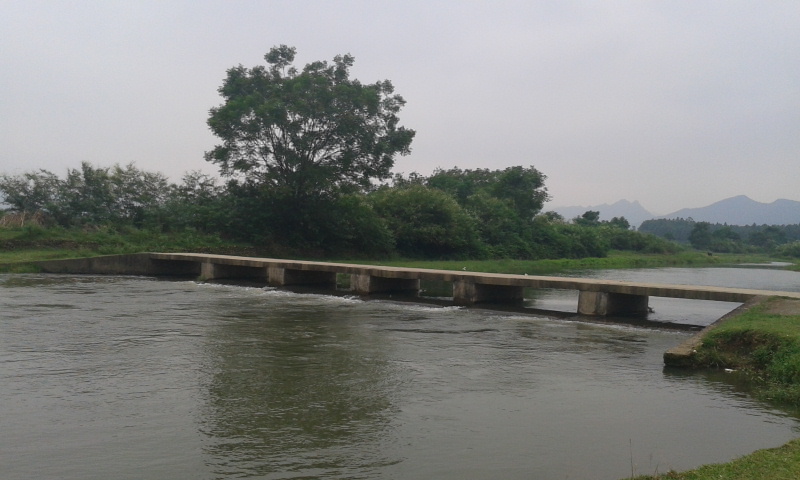 2012-08-23 14.46.37.jpg