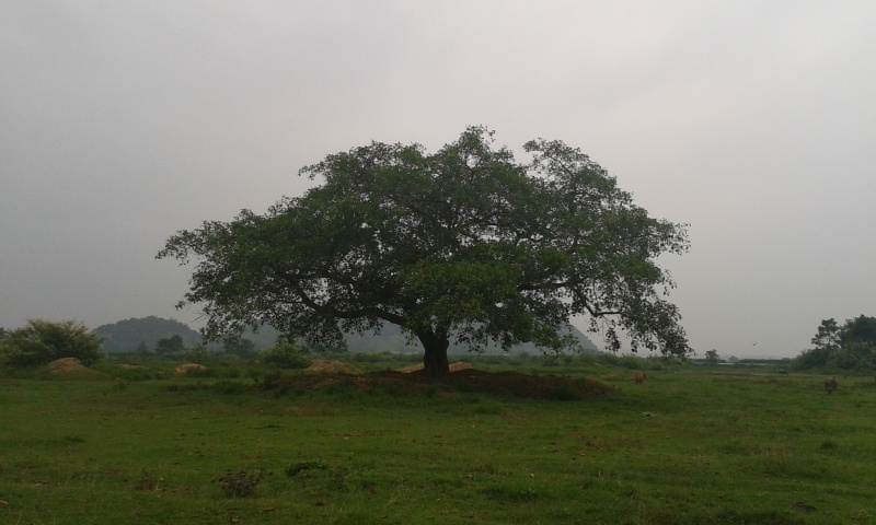 2012-08-23 14.49.05.jpg