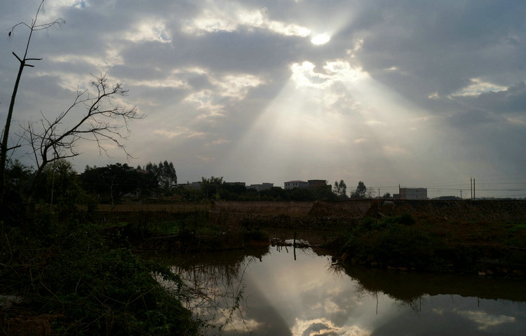 DSC00094.jpg