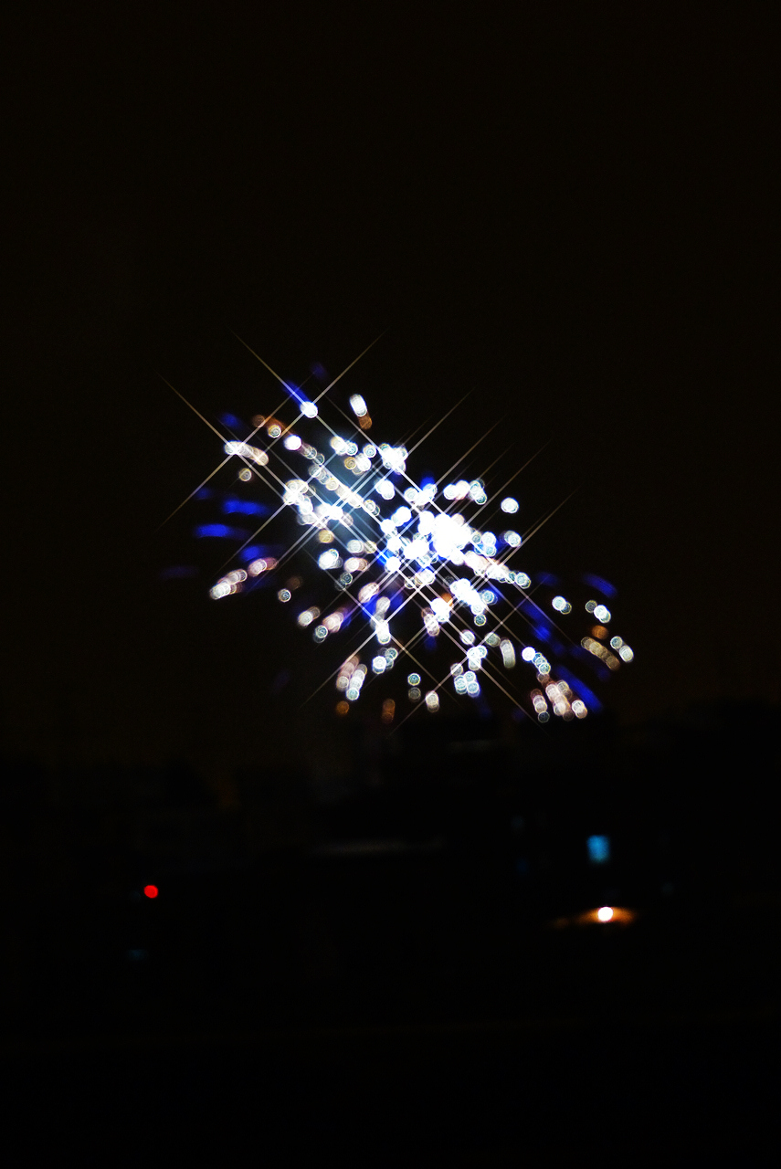 L1150738.jpg