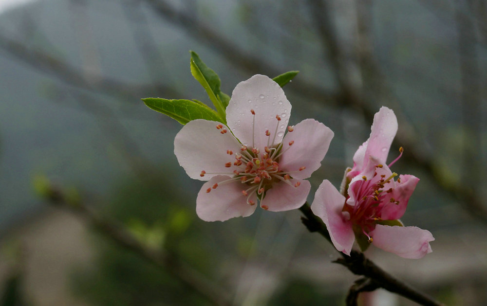 DSC00101_副本.jpg