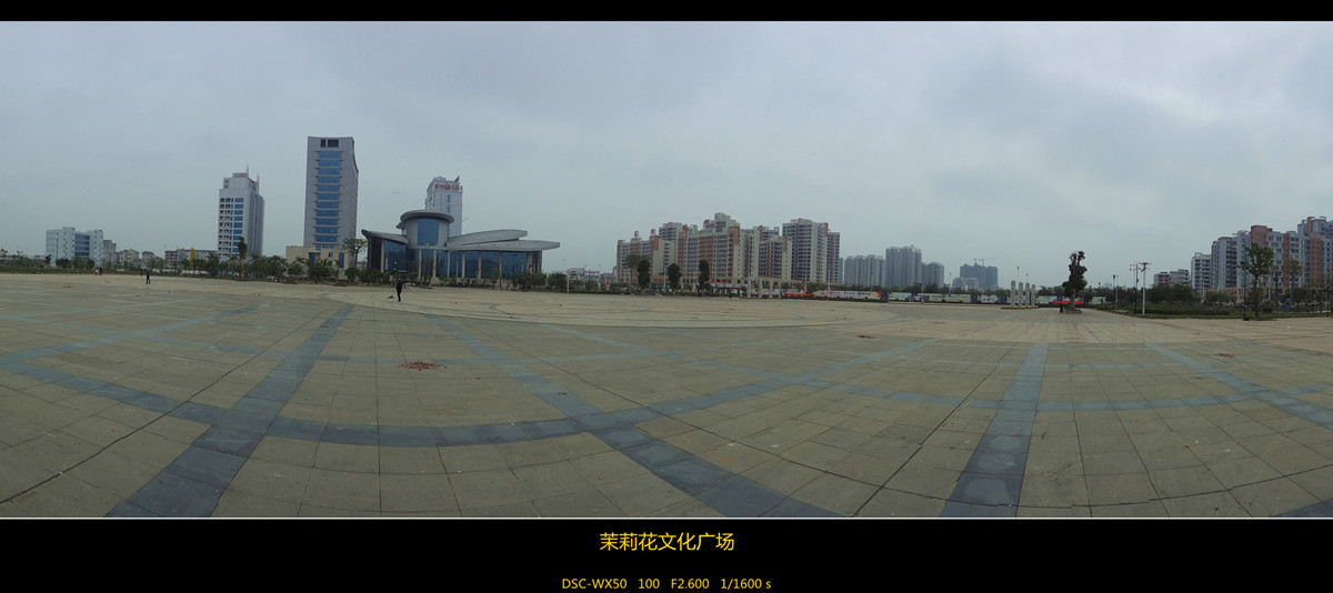 DSC02313_副本_副本.jpg