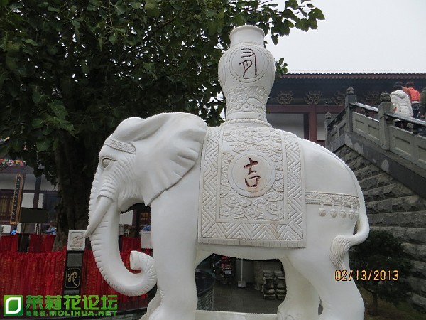 未命名.jpg