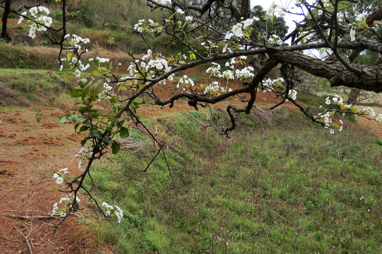 P1010396.JPG