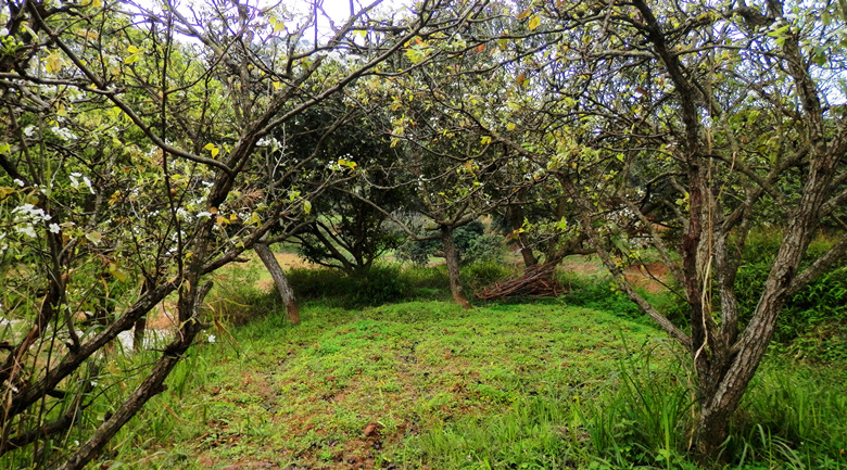 P1010382.JPG