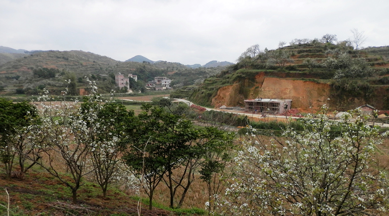 P1010386.JPG