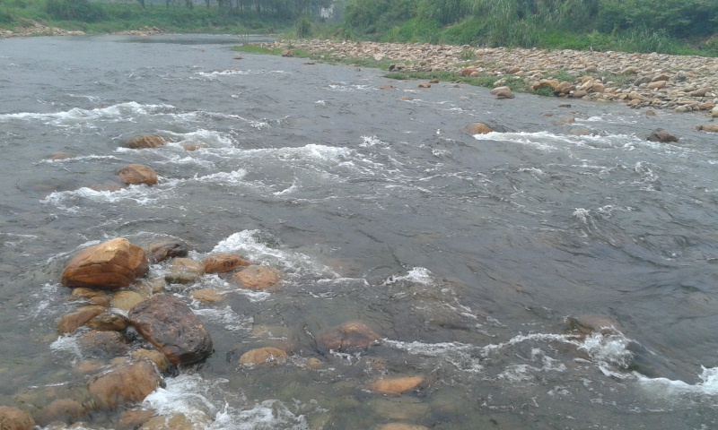 2012-08-23 16.37.48.jpg