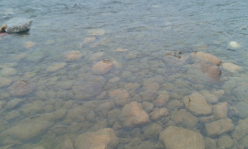 2012-08-23 16.39.31.jpg
