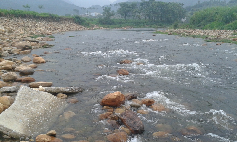 2012-08-23 16.37.52.jpg