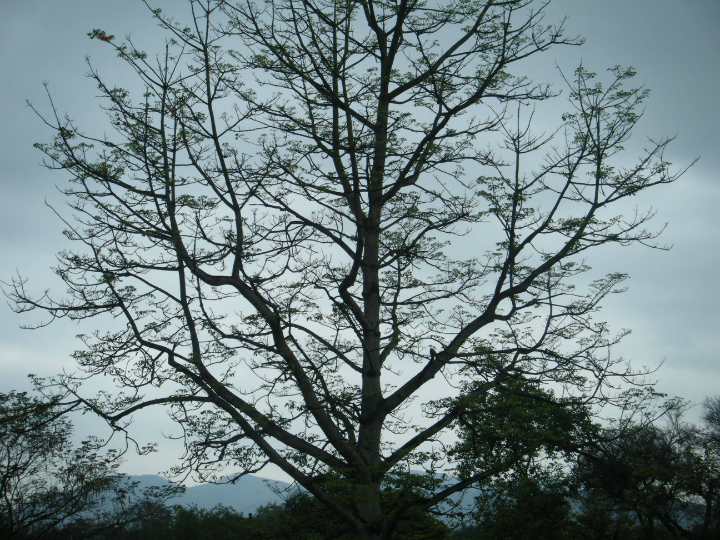 155145d49rxdx3n64oxd3s.jpg