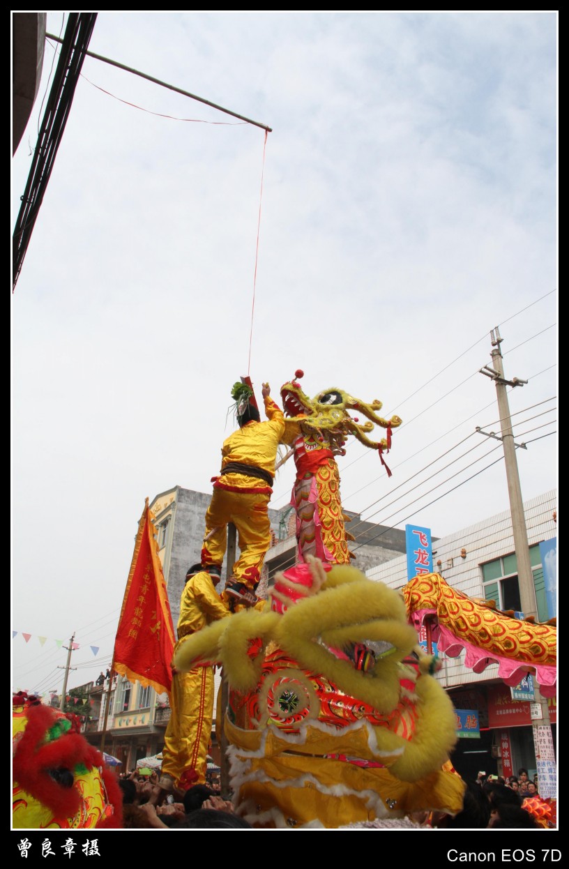IMG_0105_conew1.jpg