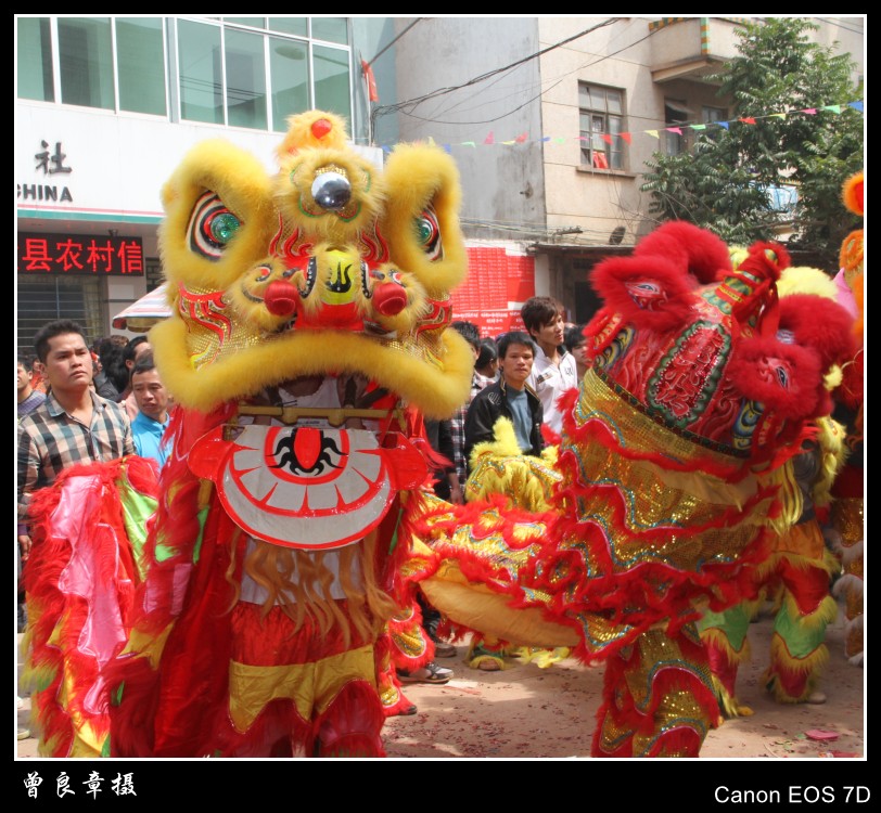 IMG_0119_conew1.jpg