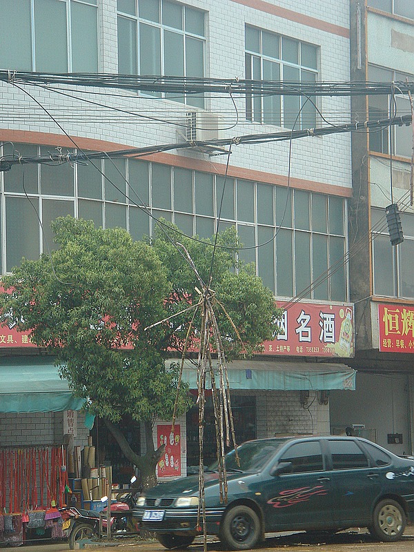 DSC09834.jpg