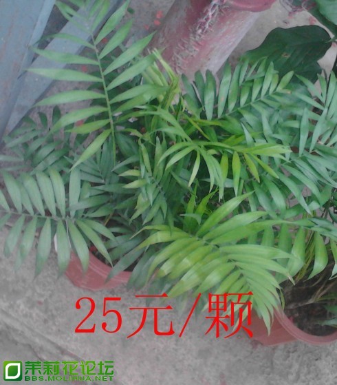 QQ截图20130301111932.jpg