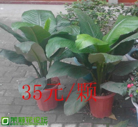 QQ截图20130301111951.jpg