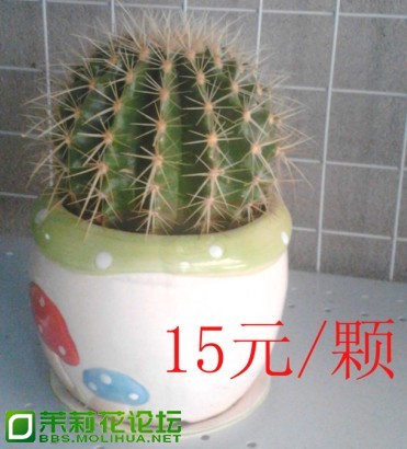 QQ截图20130301112014.jpg