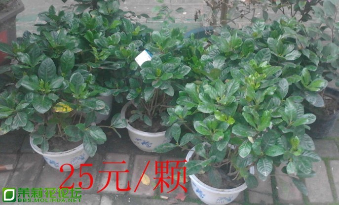 QQ截图20130301112033.jpg