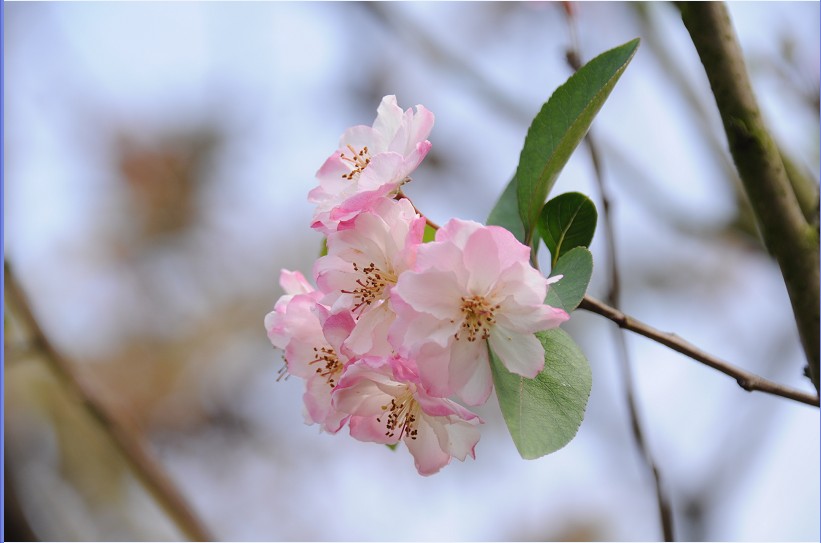 HGFP}3J}9970P]}JPQQEIH9.jpg