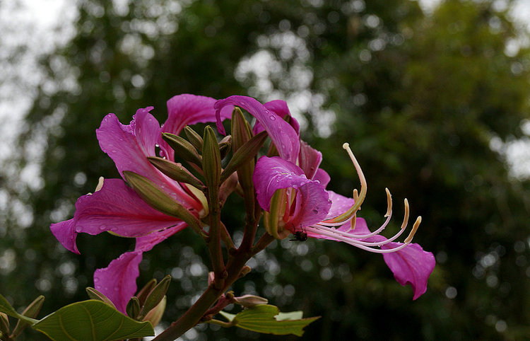 201332225749216.jpg