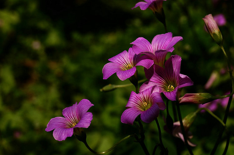 201332225832343.jpg