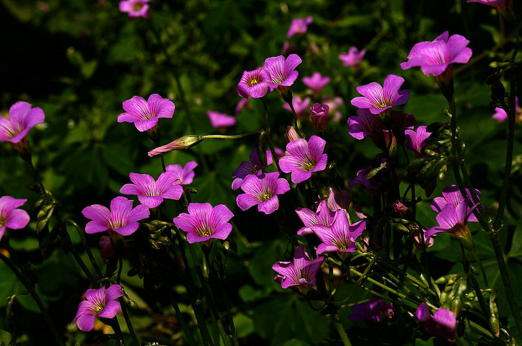 20133222581875.jpg