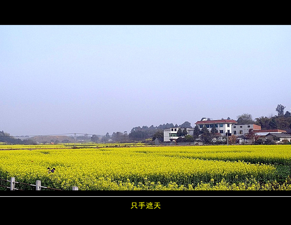 a20431661_01000_副本.jpg