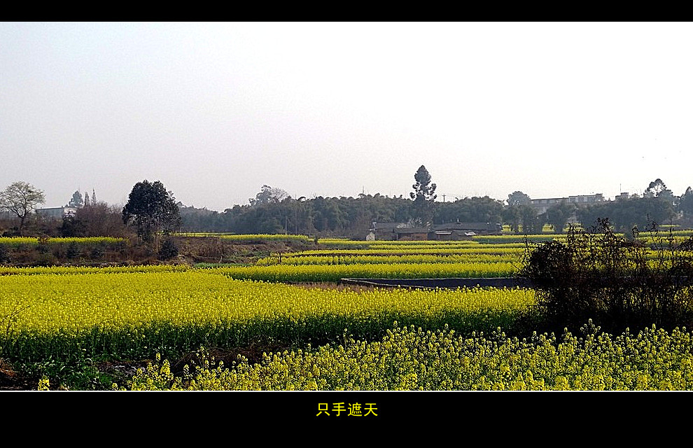 a20431676_01000_副本.jpg