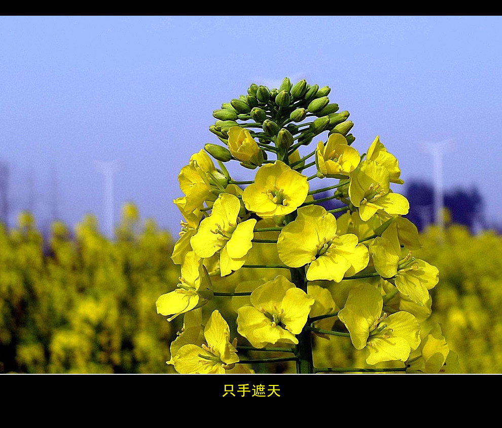 a20431742_01000_副本.jpg
