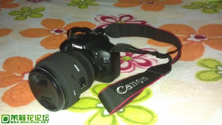 IMAG0701.jpg