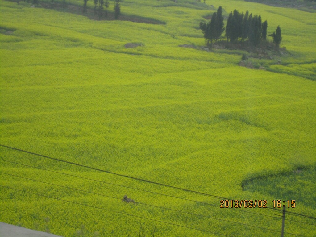 IMG_7771.jpg