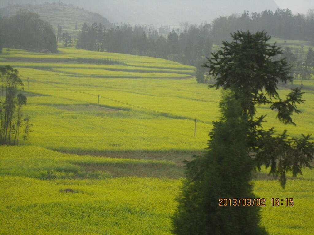 IMG_7769.jpg
