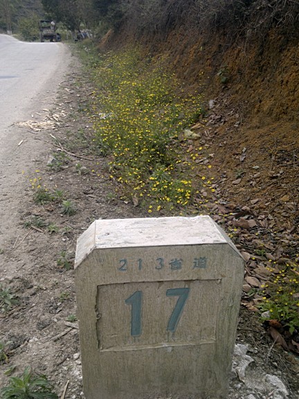 37.jpg