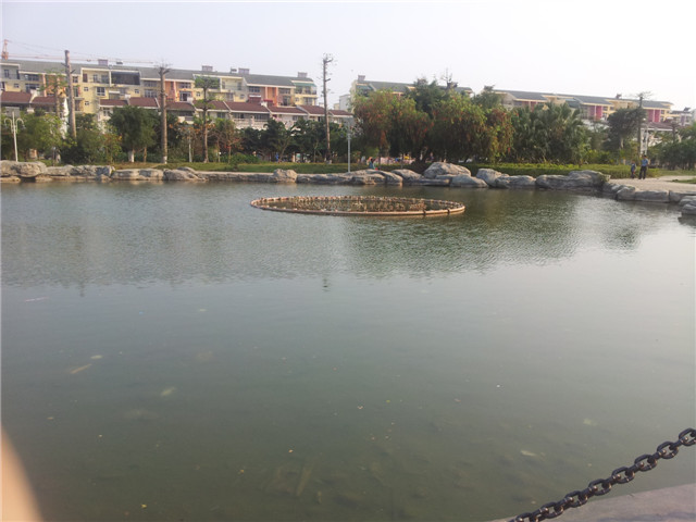 20130321_165839.jpg