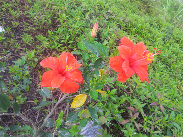 20130321_163821.jpg