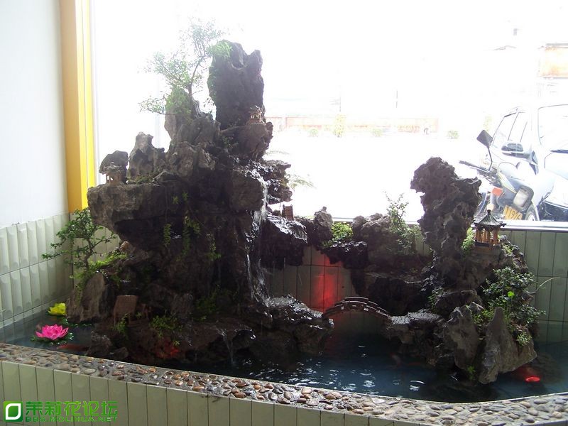 nEO_IMG_100_3071.jpg