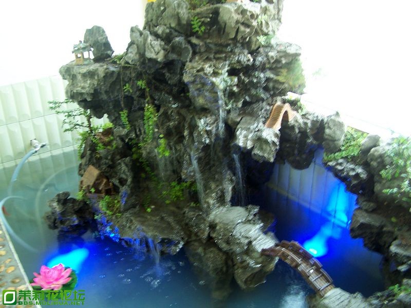 nEO_IMG_100_3083.jpg