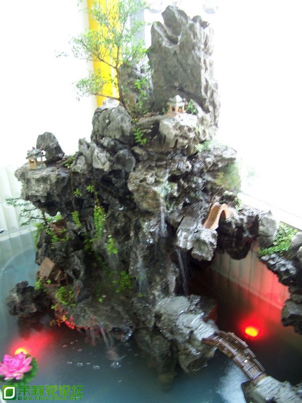 nEO_IMG_100_3084.jpg