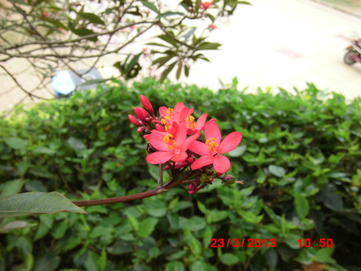 145517jah8l9782hh8njll.jpg