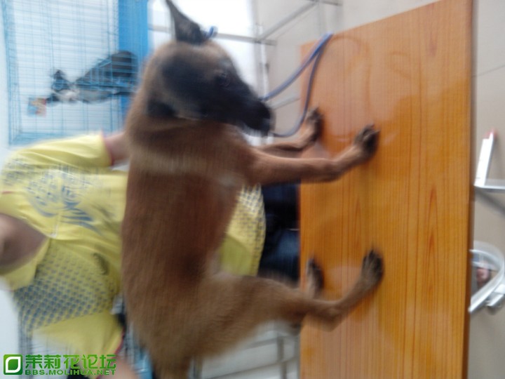 102912d0oeeeprsfsozosn.jpg