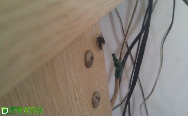 121247cccd63u1gtun89zt.jpg