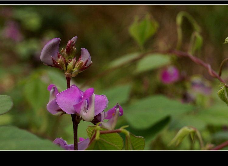 DSC00328_副本.jpg
