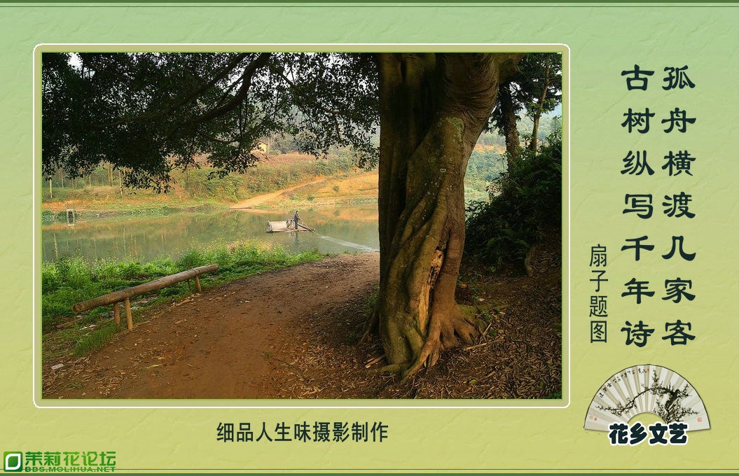 扇子.jpg