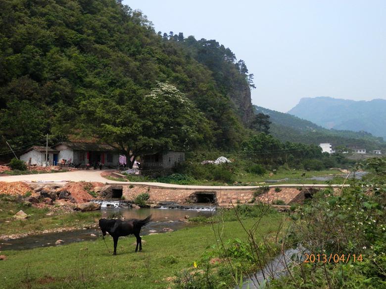 P4141129.JPG